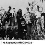 The Fabulous Hedgehogs